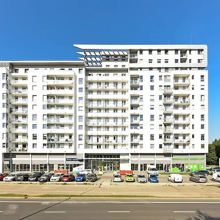 Aviator White * Gdańsk