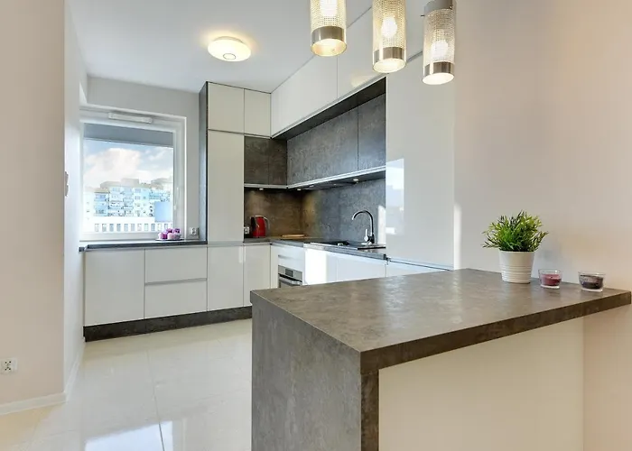 Aviator White Daire Gdansk