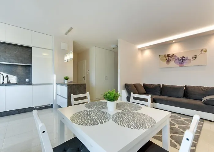 Aviator White Daire Gdansk