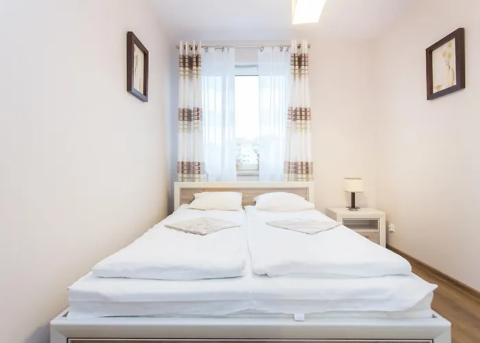 Daire Aviator White Gdansk