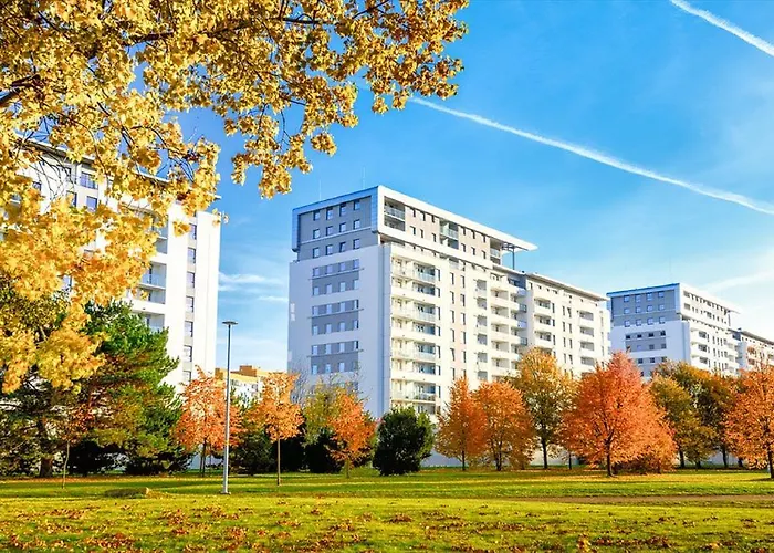 Aviator White Daire *