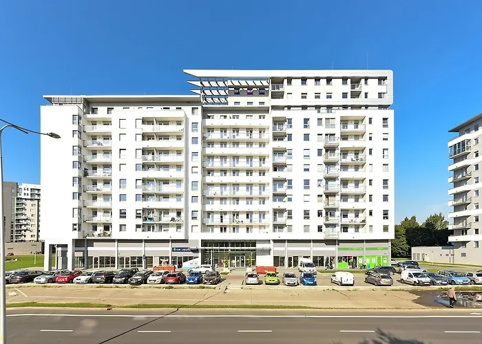 Aviator White * Gdansk